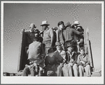 Migratory workers returning from day's work. Robstown camp, Texas