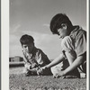 Marble game. FSA (Farm Security Administration) camp, Robstown, Texas