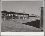 Row shelter with community building in background. Robstown FSA (Farm Security Administration) camp, Texas