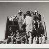 Migratory workers returning from day's work. Robstown FSA (Farm Security Administration) camp, Texas