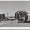 Migratory workers returning from day's work. Robstown FSA (Farm Security Administration) camp, Texas