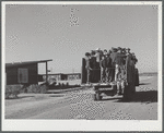 Migratory workers returning from day's work. Robstown FSA (Farm Security Administration) camp, Texas