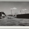 Robstown, Texas. FSA (Farm Security Administration) migratory workers camp