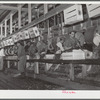 Robstown, Texas. Packing radishes