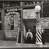 Blossom Restaurant, 103 Bowery