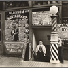 Blossom Restaurant, 103 Bowery