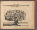 Tafel Viereck, from Vollständiges und von neuem vermehrtes Trincir-Buch