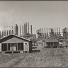 Miners' houses. Birmingham, Alabama