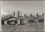 Miners' houses. Birmingham, Alabama