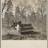 The brush cutter, a tractor pulling five tons of rollers, tears up the ground for seed planting, fire trails and road building. Withlacoochee Land Use Project, Florida