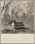 The brush cutter, a tractor pulling five tons of rollers, tears up the ground for seed planting, fire trails and road building. Withlacoochee Land Use Project, Florida