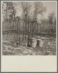 Dibbles and buckets, the tools used in planting young pine trees. Withlacoochee Land Use Project, Florida