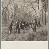 Men planting pine trees. Withlacoochee Land Use Project, Florida