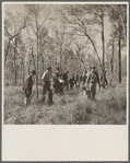 Men planting pine trees. Withlacoochee Land Use Project, Florida