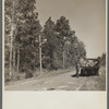 Telephone system used in fighting forest fire. Withlacoochee Land Use Project, Florida