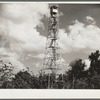 Tower used for detecting forest fires on resettlement project. Withlacoochee Land Use Project, Florida