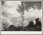 Tower used for detecting forest fires on resettlement project. Withlacoochee Land Use Project, Florida