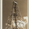 Tower used for detecting forest fires on resettlement project. Withlacoochee Land Use Project, Florida