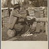 Hewing shingles. Withlacoochee Land Use Project, Florida