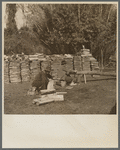 Making shingles by hand. Withlacoochee Land Use Project, Florida