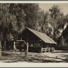 Picnic tables on shores of McKethan Lake. Withlacoochee Land Use Project, Florida