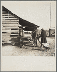 Tenant farmer unhitching team. Walker County, Alabama