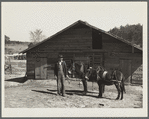 Joe Handley at his barn. Walker County, Alabama
