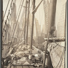 Theoline, Pier 11, East River