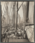 Theoline, Pier 11, East River