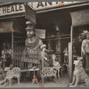 Sumner Healy Antique Shop, Third Avenue near 57th Street