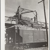 Loading freight cars for the factory at sugar beet dump. Adams County, Colorado