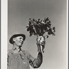 August Ehlen, farmer, with sugar beet. Adams County, Colorado