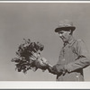 August Ehlen, farmer, with sugar beet. Adams County, Colorado