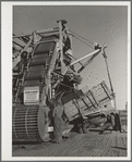 Machine for piling sugar beets at railroad. Adams County, Colorado