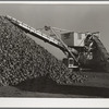 Machine for unloading sugar beets from farmers' trucks at railroad. Adams County, Colorado