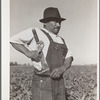 Field worker with knife used in topping sugar beets. Adams County, Colorado