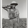 Young Spanish-American sugar beet worker. Adams County, Colorado