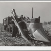 Mechanical corn picker. Grundy County, Iowa
