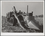 Mechanical corn picker. Grundy County, Iowa