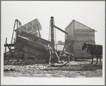 During an abundant harvest many corn cribs are filled while they are still under construction. Grundy County, Iowa