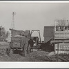 Bringing in corn from the field. Grundy County, Iowa