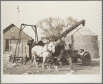 Corn is brought in from the field for storage in temporary crib. Grundy County, Iowa