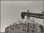 Filling a temporary corn crib. Grundy County, Iowa