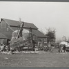 Storing corn during harvest. Grundy County, Iowa