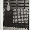 Open-pollinated corn stored in attic for seed. Frank Goecke farm. Marshall County, Iowa