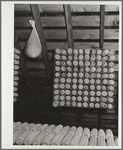 Open-pollinated corn stored in attic for seed. Frank Goecke farm. Marshall County, Iowa