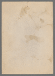 Coquina profilé