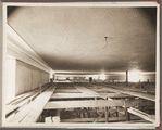 American Museum of Natural History, African Hall. Central Park West & 80th Street