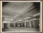 American Museum of Natural History, African Hall. Central Park West & 80th Street