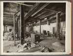 American Museum of Natural History, African Hall. Central Park West & 80th Street